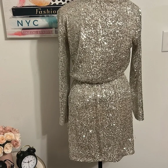 BB Dakota Steve Madden Sequence Dress - Picture 4 of 4